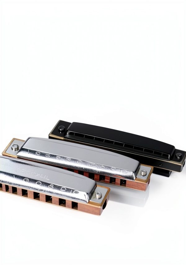 Harmonica Beginner Guide - Amazon 170-Page Kindle eBook Music-0