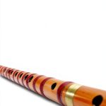 Woodwind Instrument Guide for Beginners 61 Page Kindle eBook-0