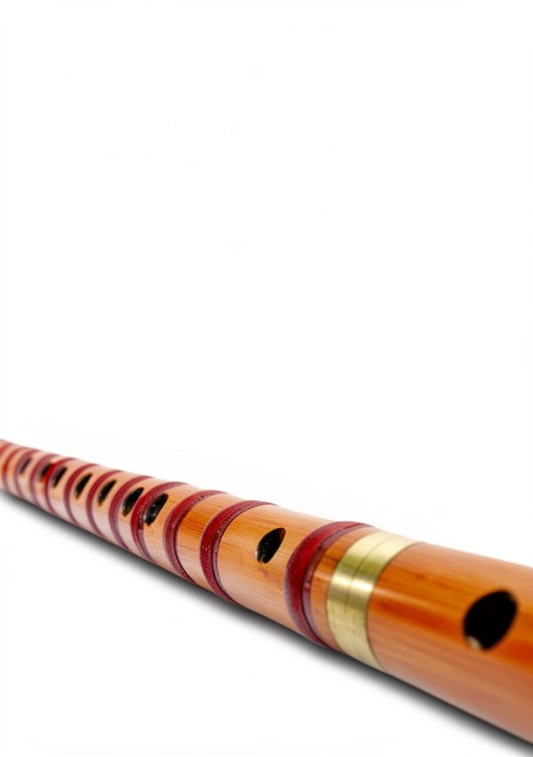 Woodwind Instrument Guide for Beginners 61 Page Kindle eBook-0